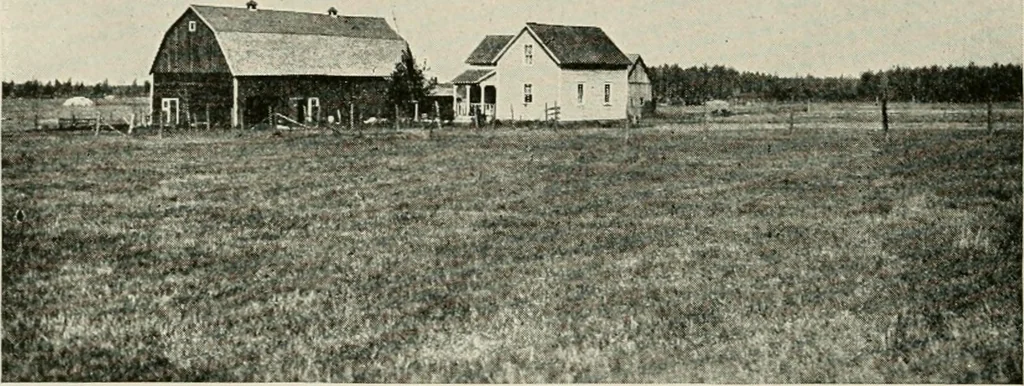 An illustration from The new and old immigrant on the land; a study of Americanization and the rural church, 1922, leaf 33