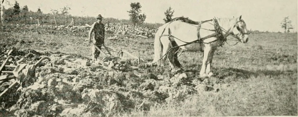 An illustration from The new and old immigrant on the land; a study of Americanization and the rural church, 1922, leaf 48