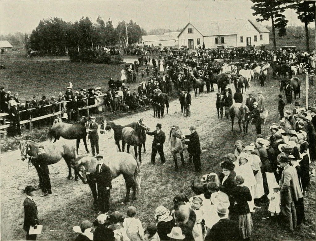 An illustration from The new and old immigrant on the land; a study of Americanization and the rural church, 1922, leaf 51