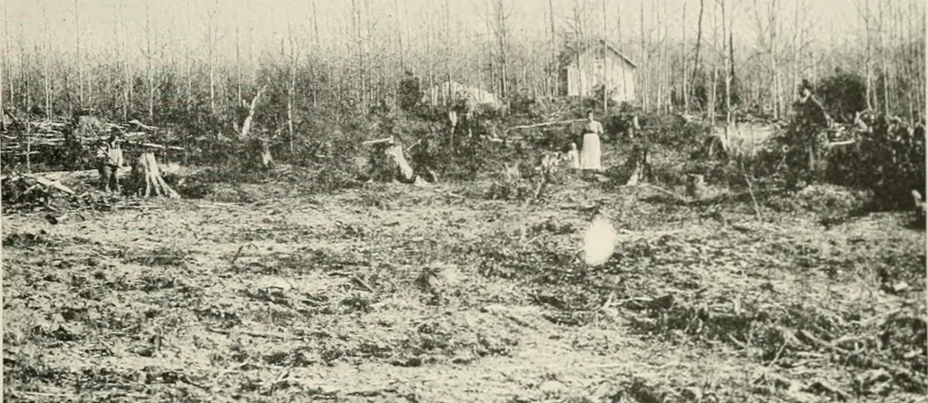 An illustration from The new and old immigrant on the land; a study of Americanization and the rural church, 1922, leaf 64