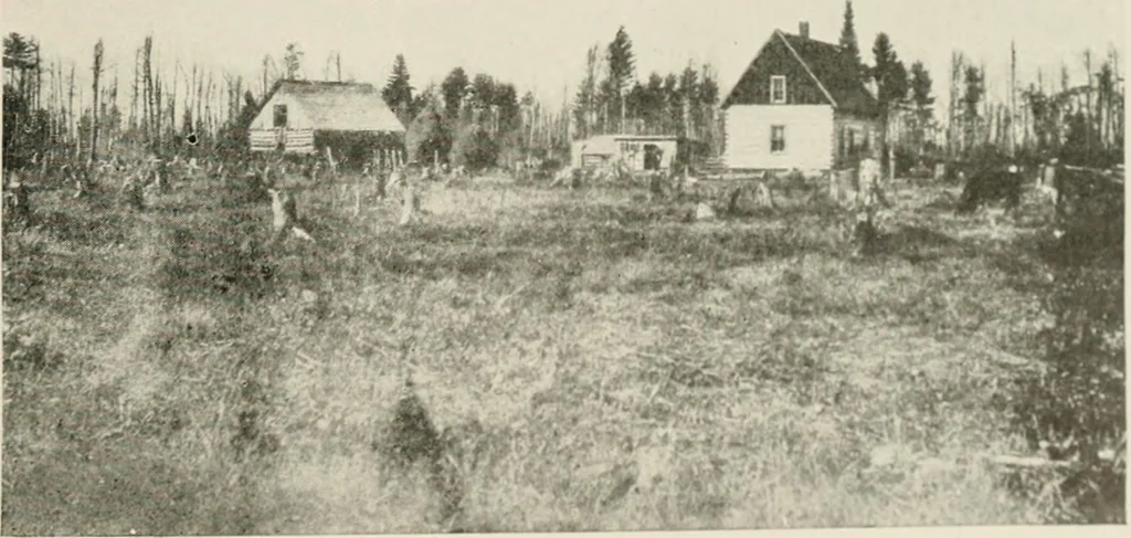 An illustration from The new and old immigrant on the land; a study of Americanization and the rural church, 1922, leaf 64