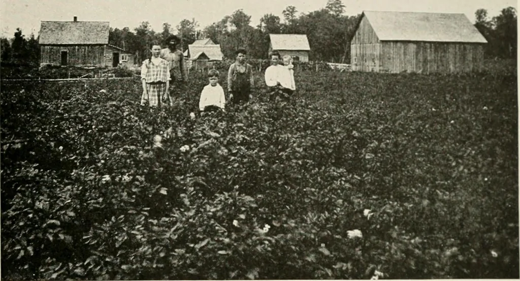 An illustration from The new and old immigrant on the land; a study of Americanization and the rural church, 1922, leaf 66