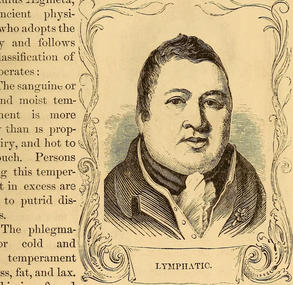 An illustration from New physiognomy, 1867, leaf 102