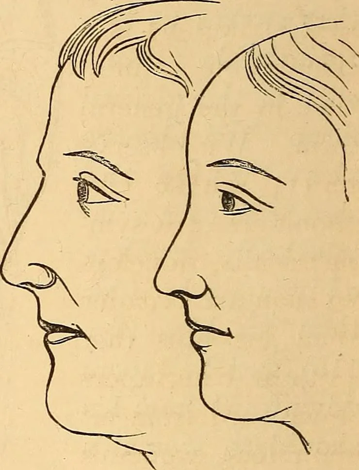 An illustration from New physiognomy, 1867, leaf 119