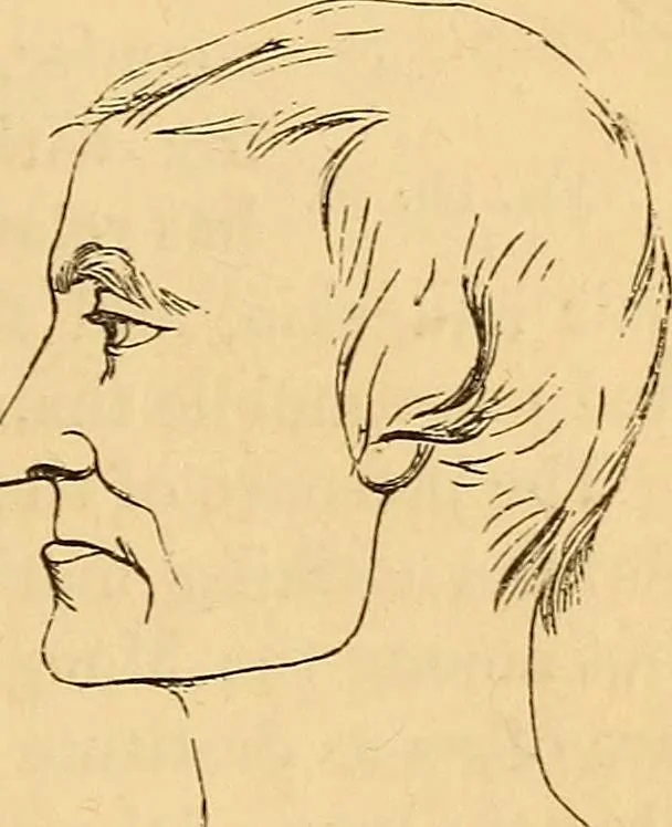 An illustration from New physiognomy, 1867, leaf 120