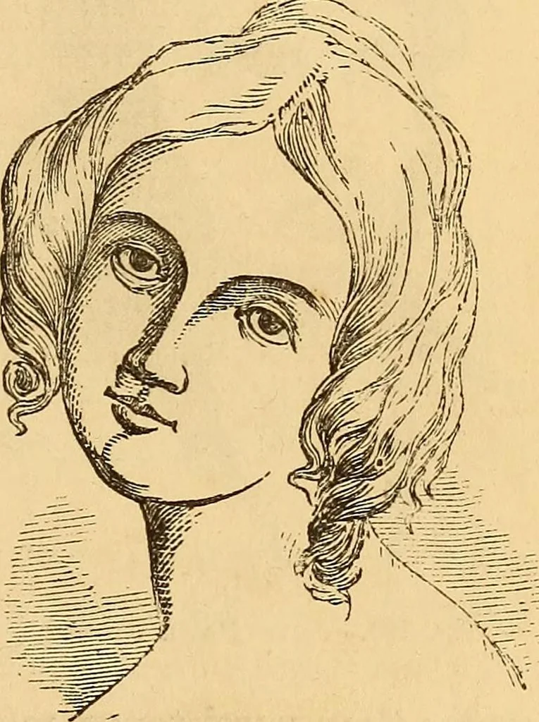 An illustration from New physiognomy, 1867, leaf 126
