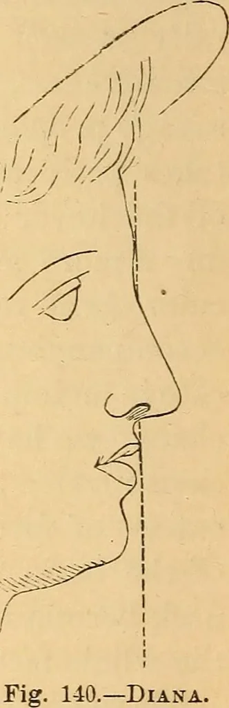 An illustration from New physiognomy, 1867, leaf 131