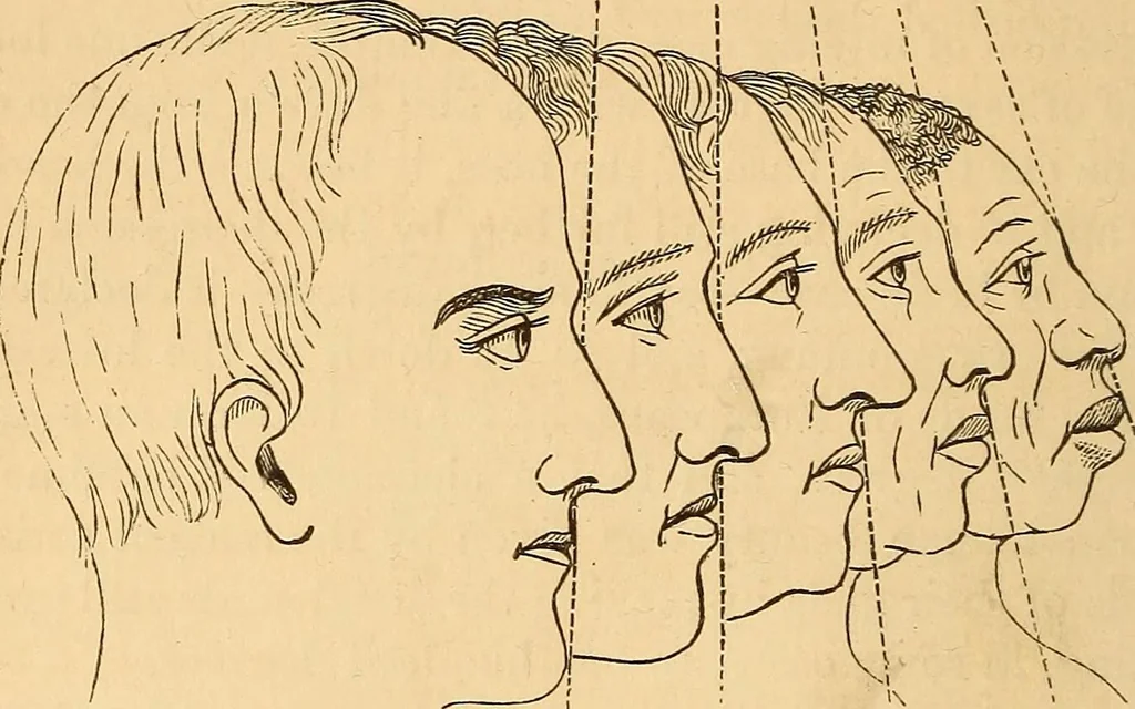 An illustration from New physiognomy, 1867, leaf 133