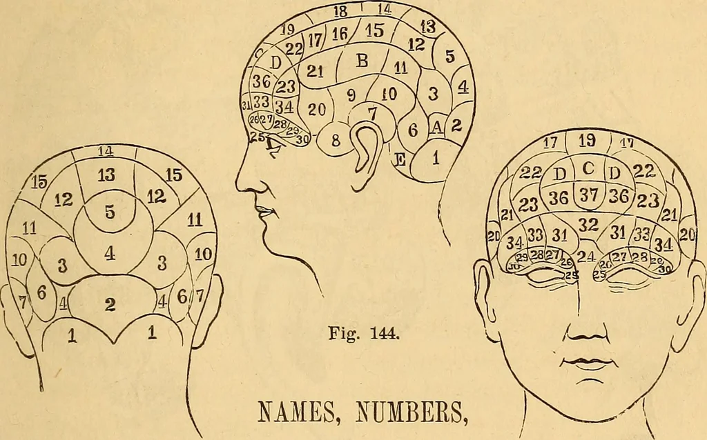 An illustration from New physiognomy, 1867, leaf 138