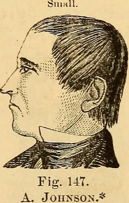 An illustration from New physiognomy, 1867, leaf 140
