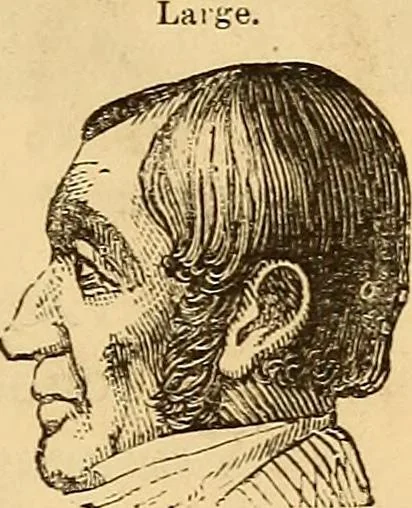 An illustration from New physiognomy, 1867, leaf 142