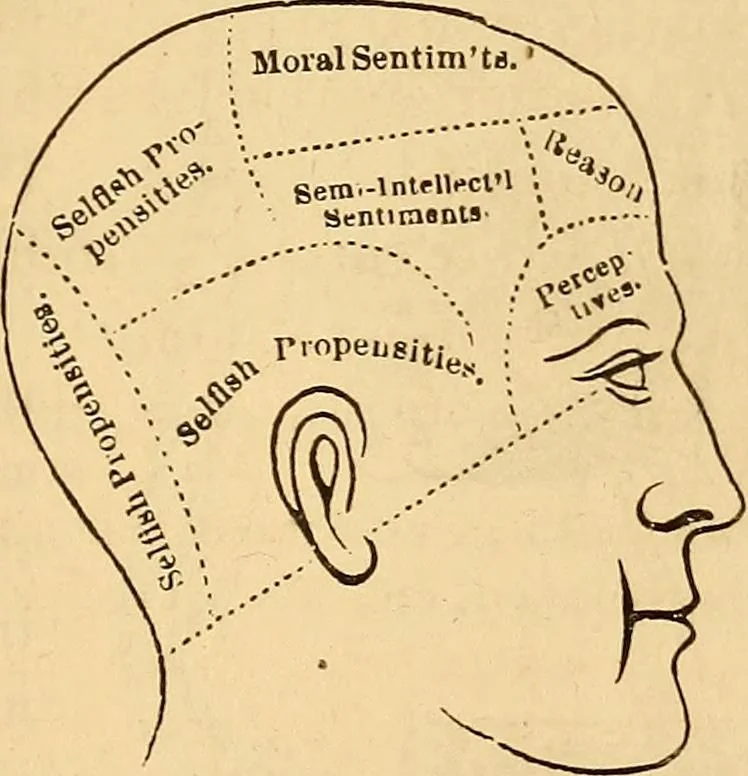 An illustration from New physiognomy, 1867, leaf 148