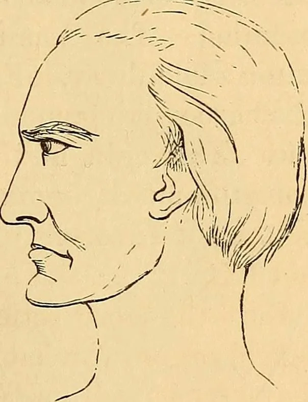 An illustration from New physiognomy, 1867, leaf 160