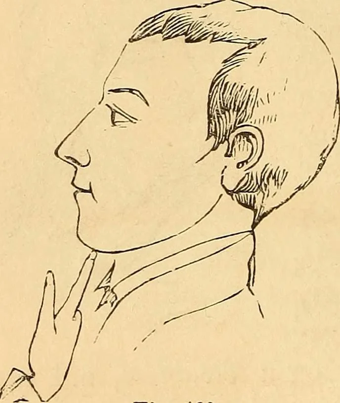 An illustration from New physiognomy, 1867, leaf 165
