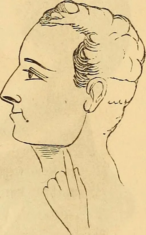 An illustration from New physiognomy, 1867, leaf 166