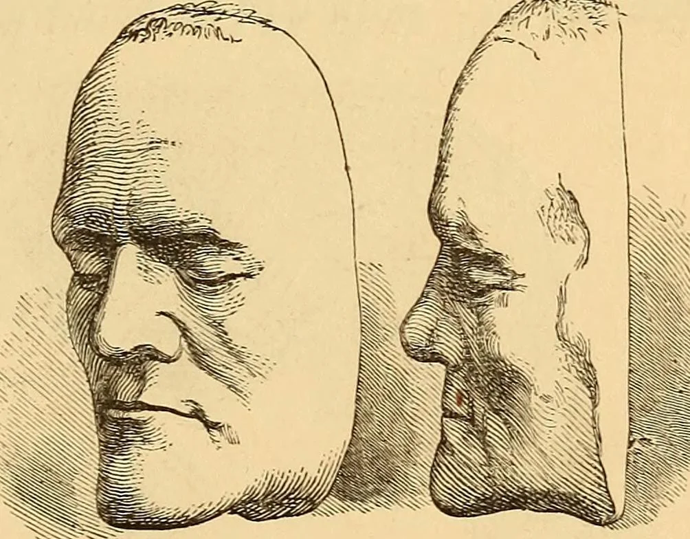 An illustration from New physiognomy, 1867, leaf 166
