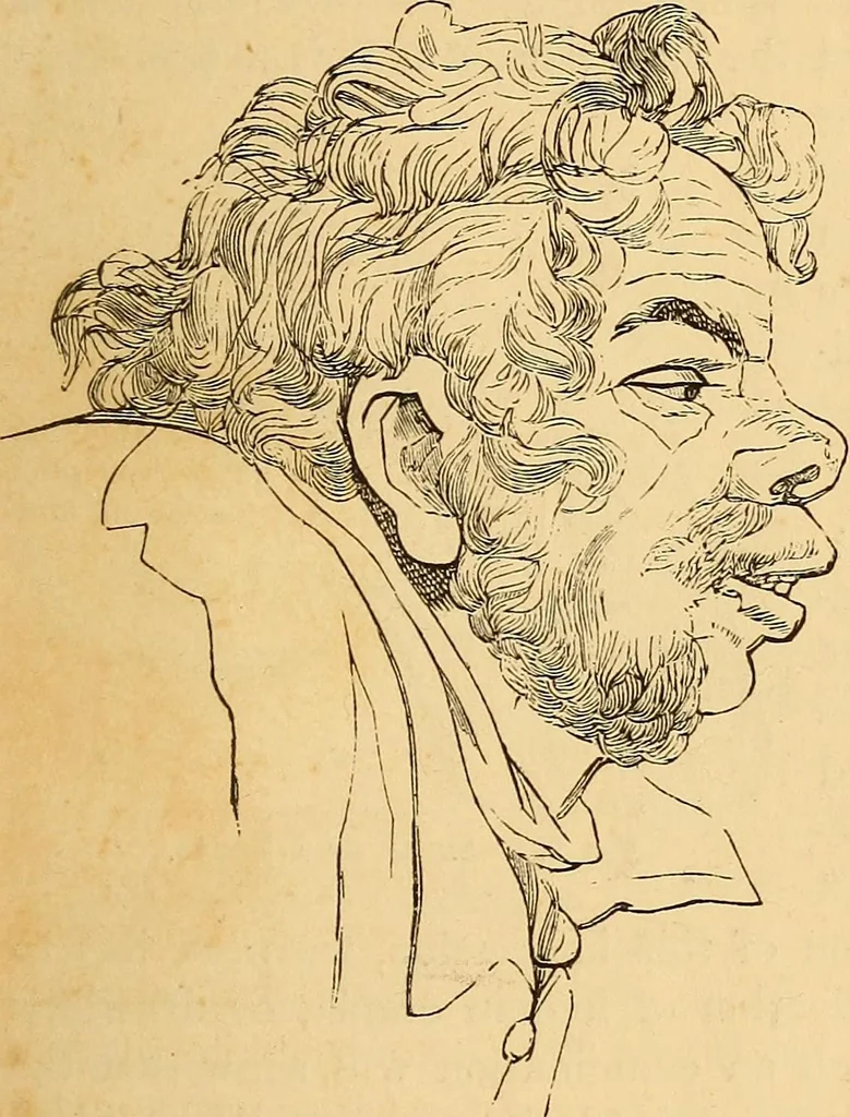 An illustration from New physiognomy, 1867, leaf 170