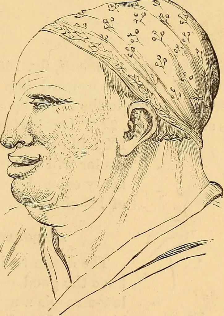An illustration from New physiognomy, 1867, leaf 180