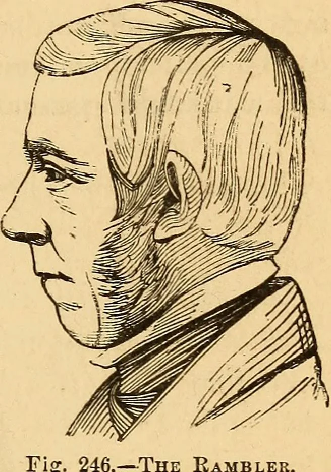 An illustration from New physiognomy, 1867, leaf 190