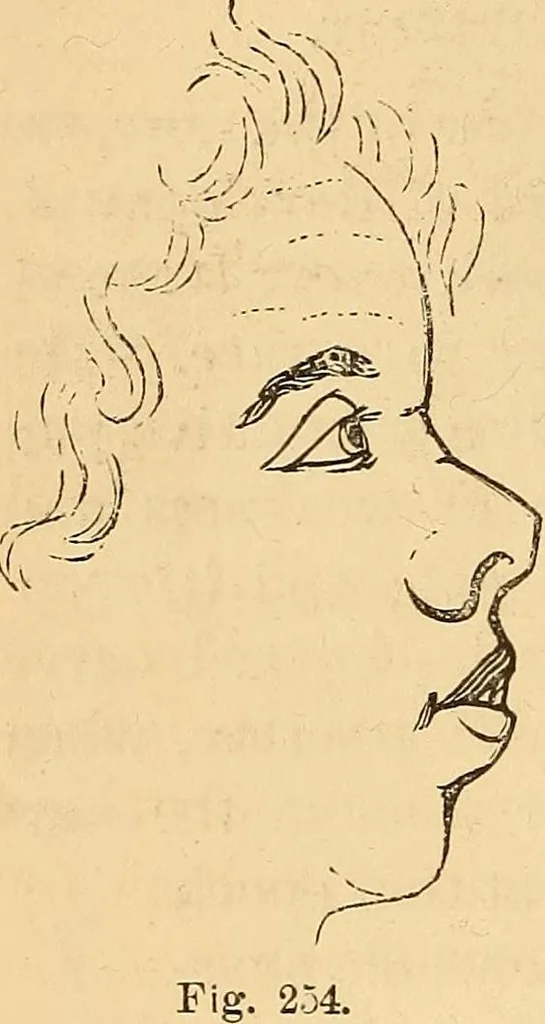 An illustration from New physiognomy, 1867, leaf 195