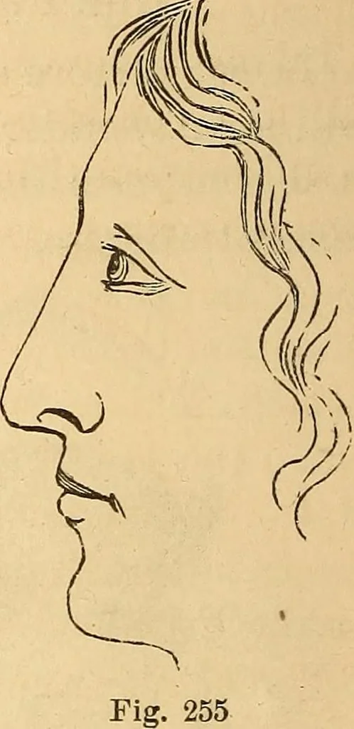An illustration from New physiognomy, 1867, leaf 195