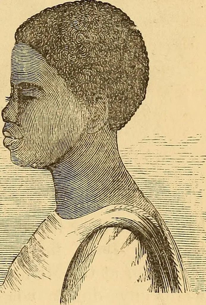 An illustration from New physiognomy, 1867, leaf 196