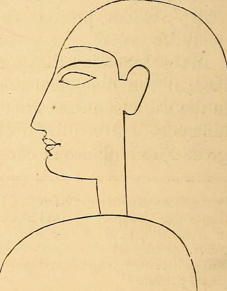An illustration from New physiognomy, 1867, leaf 197