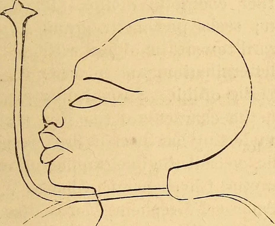 An illustration from New physiognomy, 1867, leaf 198