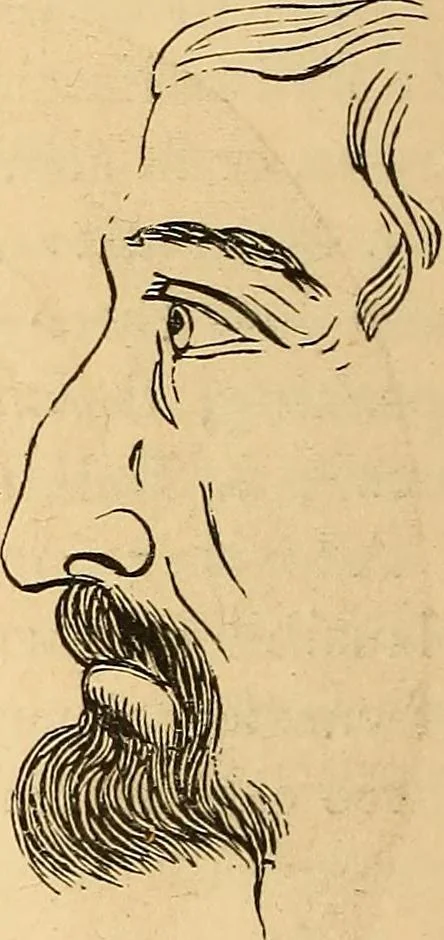 An illustration from New physiognomy, 1867, leaf 211