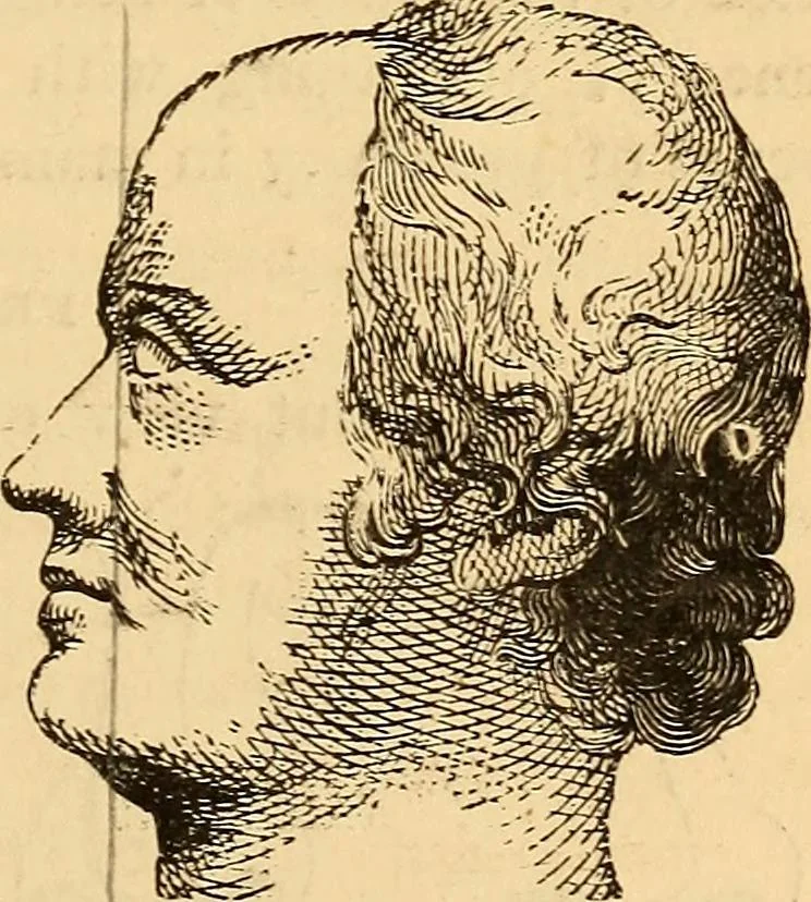 An illustration from New physiognomy, 1867, leaf 216