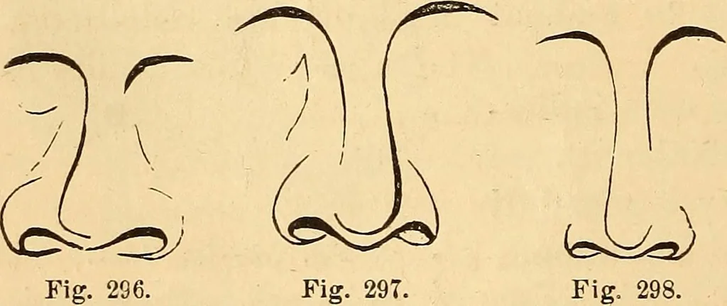 An illustration from New physiognomy, 1867, leaf 217