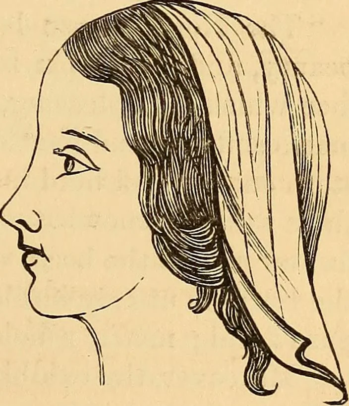 An illustration from New physiognomy, 1867, leaf 220