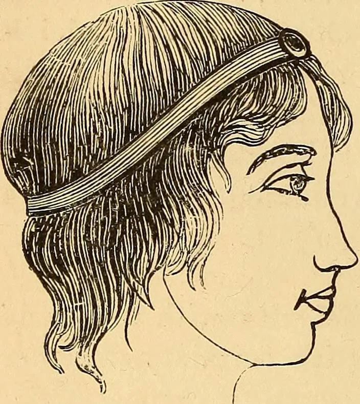 An illustration from New physiognomy, 1867, leaf 221