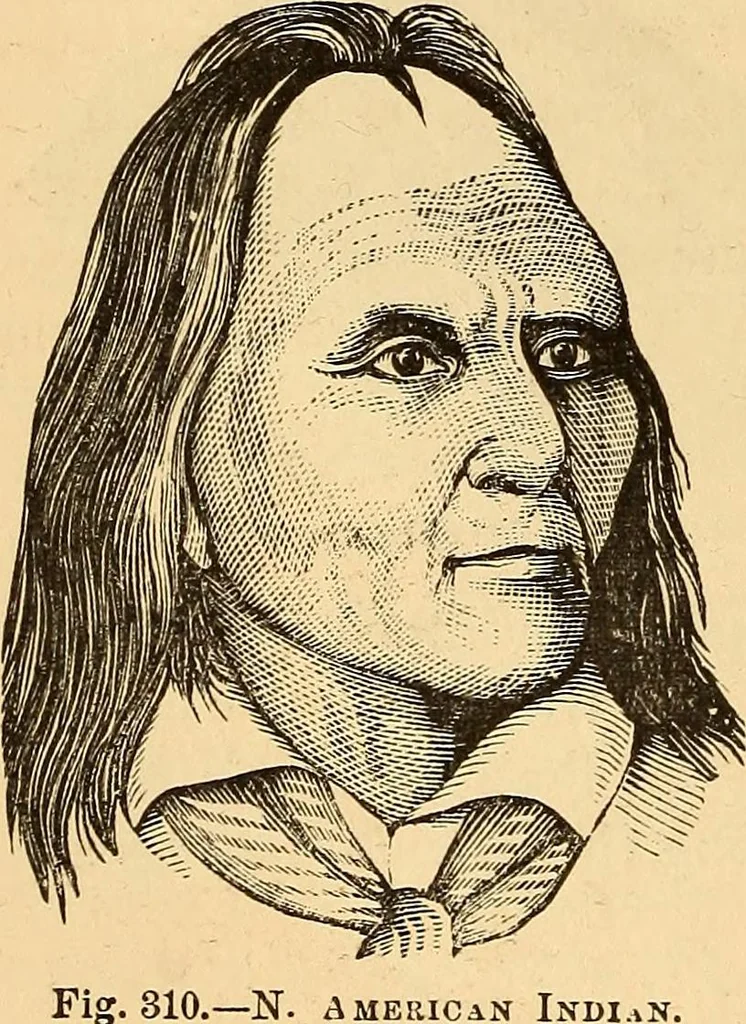 An illustration from New physiognomy, 1867, leaf 225