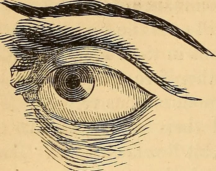 An illustration from New physiognomy, 1867, leaf 237