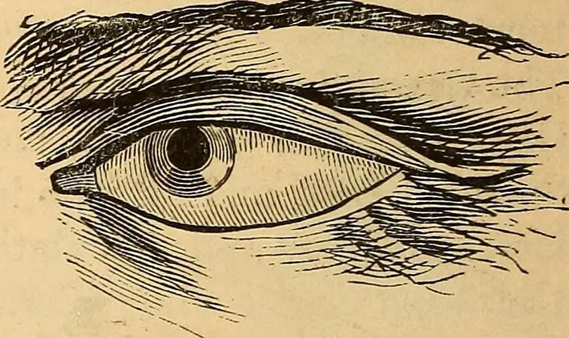 An illustration from New physiognomy, 1867, leaf 237