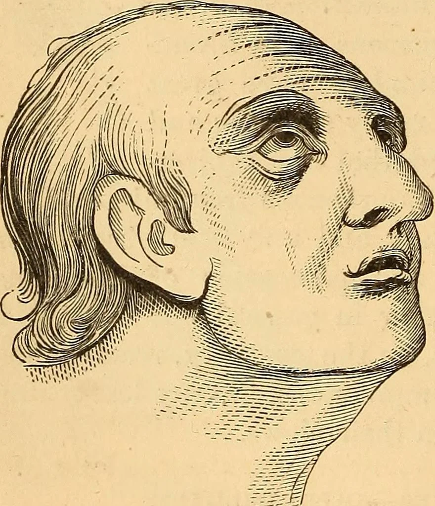 An illustration from New physiognomy, 1867, leaf 237