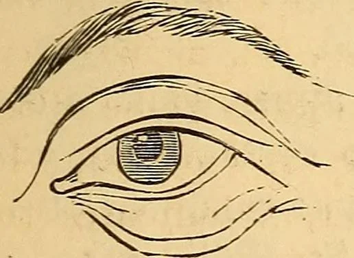 An illustration from New physiognomy, 1867, leaf 238