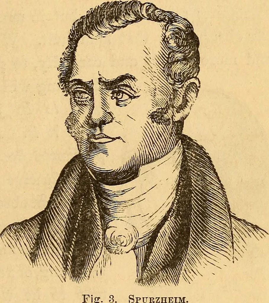 An illustration from New physiognomy, 1867, leaf 24