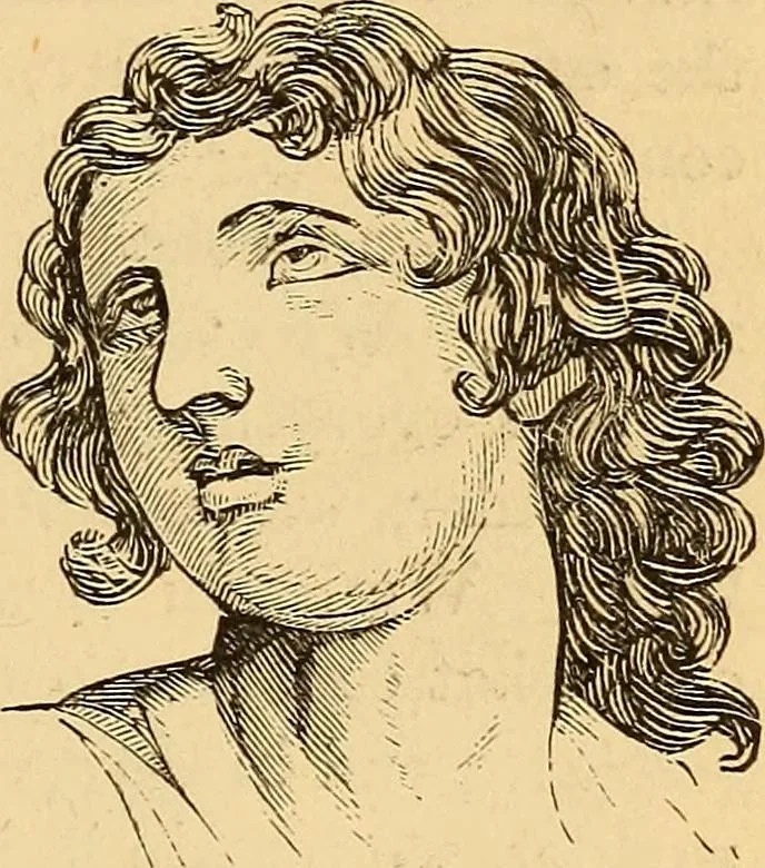 An illustration from New physiognomy, 1867, leaf 240