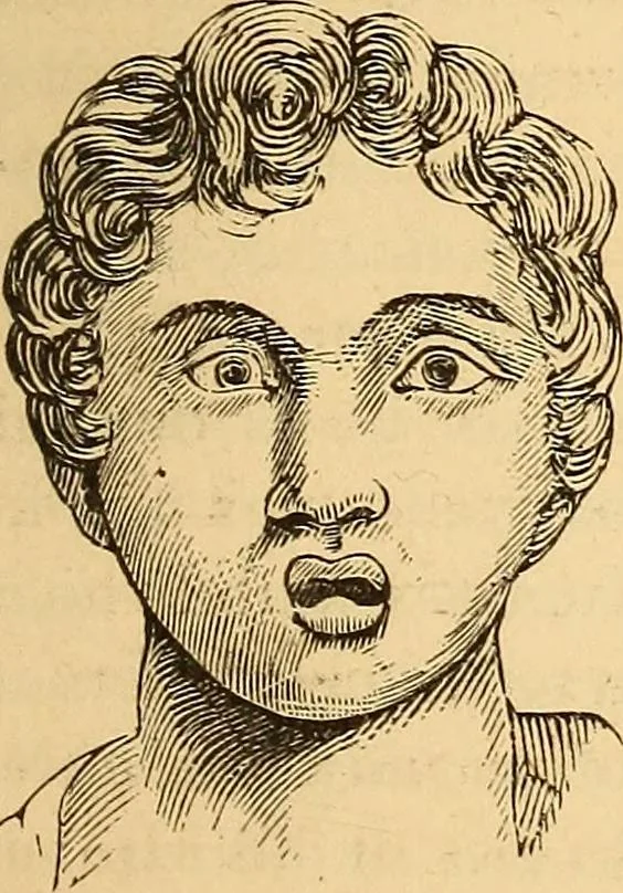 An illustration from New physiognomy, 1867, leaf 240