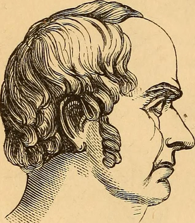 An illustration from New physiognomy, 1867, leaf 25