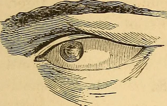 An illustration from New physiognomy, 1867, leaf 256