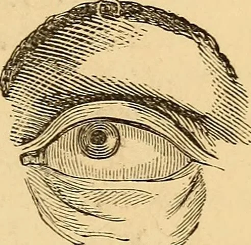 An illustration from New physiognomy, 1867, leaf 256