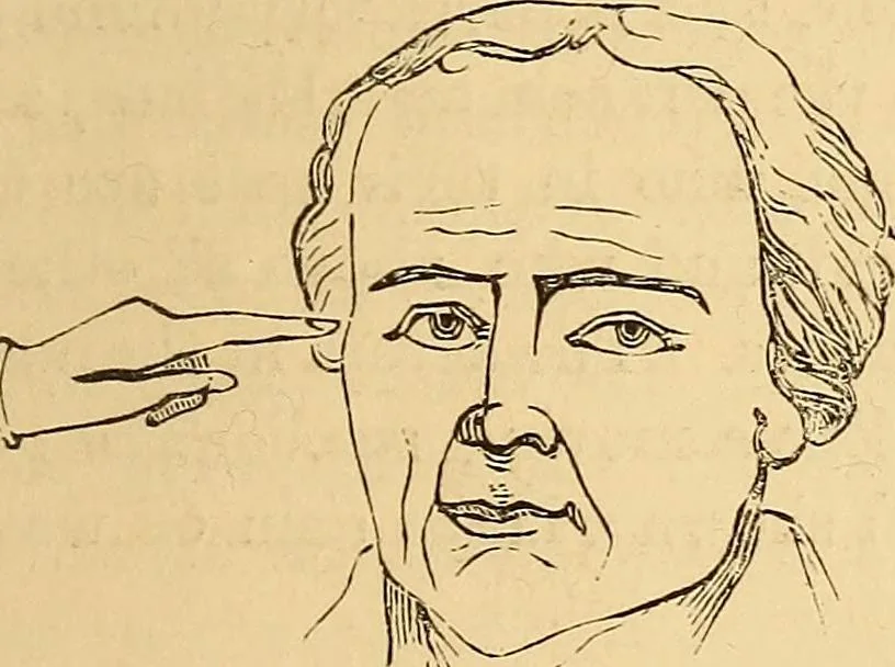 An illustration from New physiognomy, 1867, leaf 262
