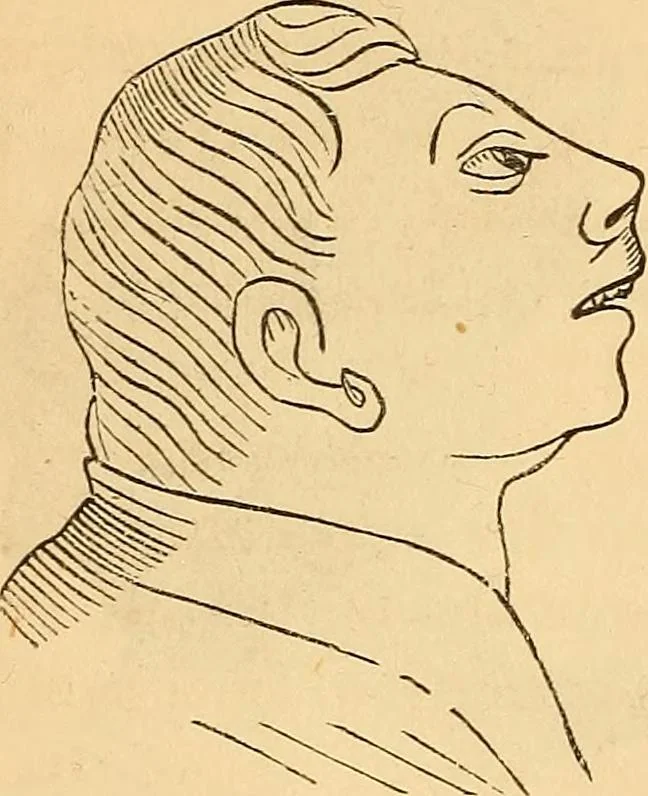 An illustration from New physiognomy, 1867, leaf 267
