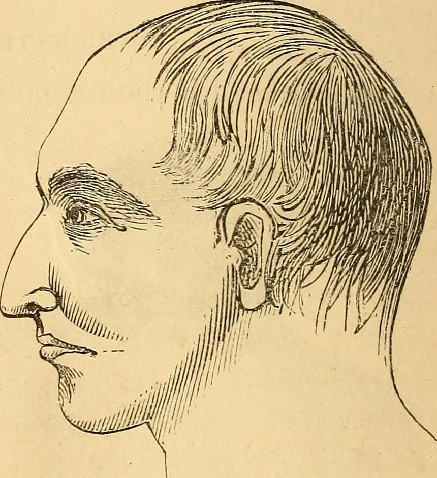 An illustration from New physiognomy, 1867, leaf 267