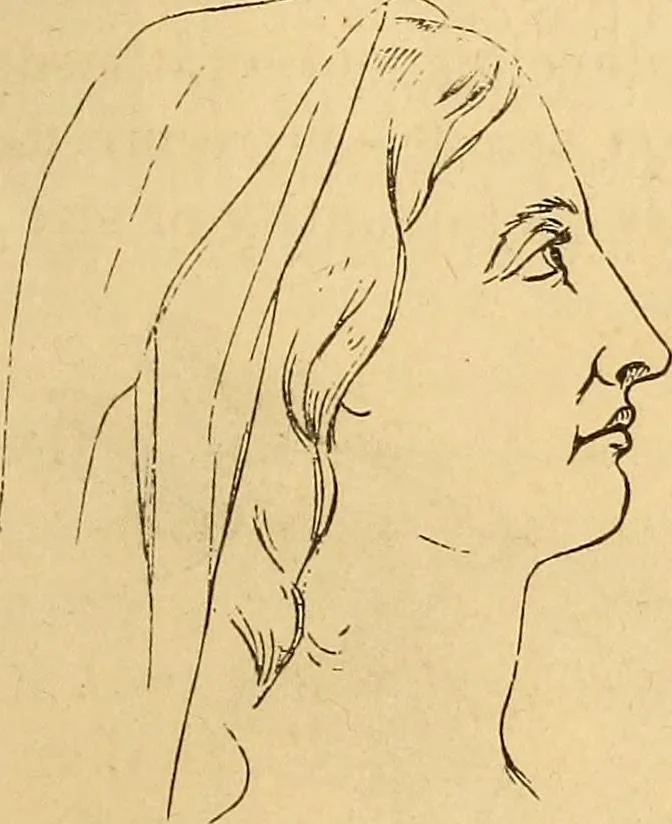 An illustration from New physiognomy, 1867, leaf 274
