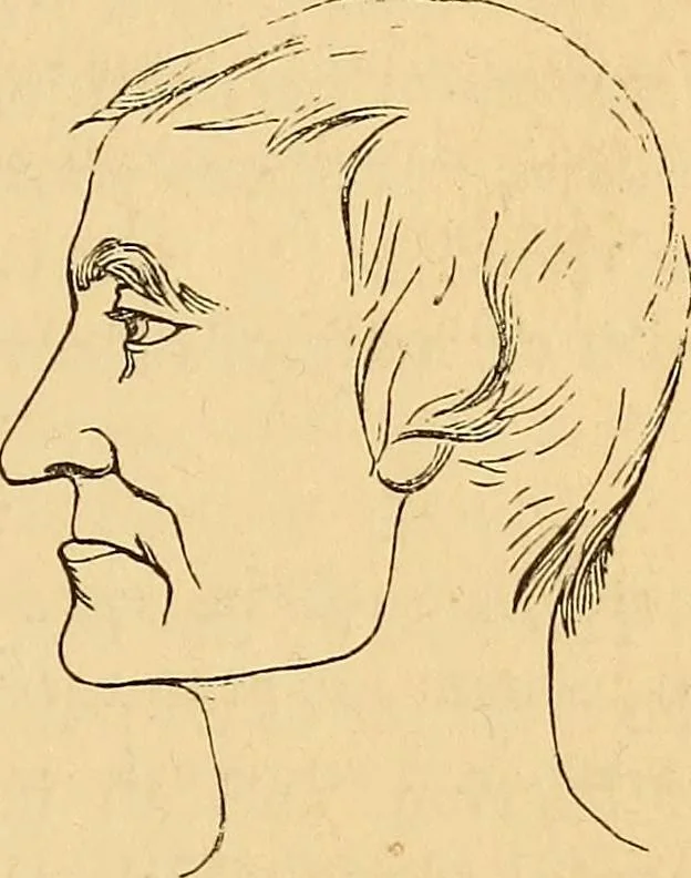 An illustration from New physiognomy, 1867, leaf 274