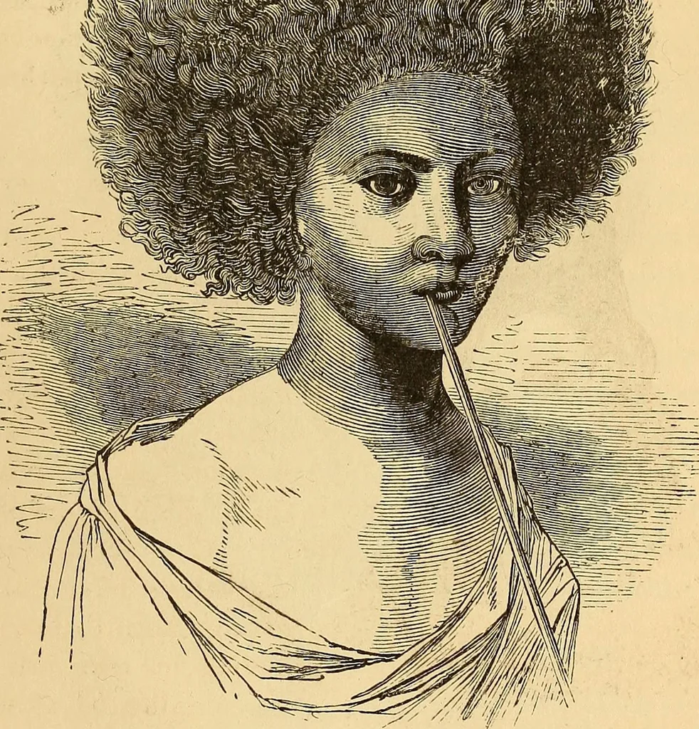 An illustration from New physiognomy, 1867, leaf 286